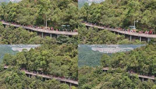 广东观音山国家森林公园第十二届登山大赛高清在线视频素材下载