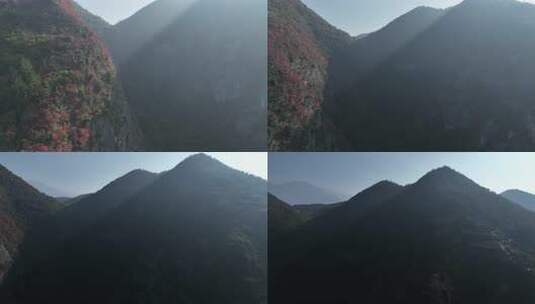 长江三峡巫峡红叶高清在线视频素材下载