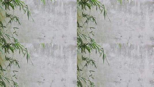 古老的白墙和竹林高清在线视频素材下载