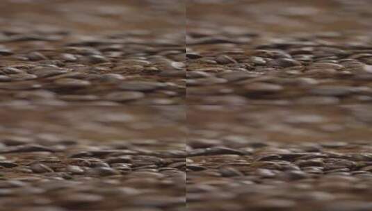 4K竖屏移动展示泥土里的咖啡豆高清在线视频素材下载
