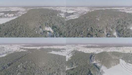 冬季长白山原始森林雪景林海雪原高清在线视频素材下载