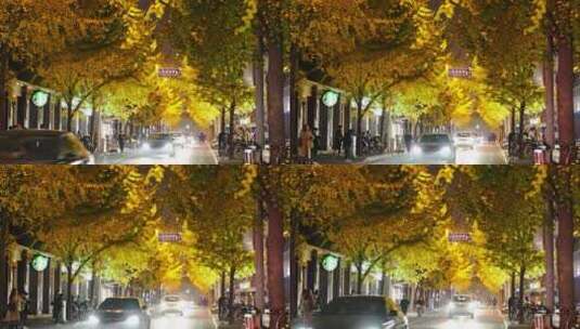银杏树 唯美 夜景 街道 都市生活高清在线视频素材下载