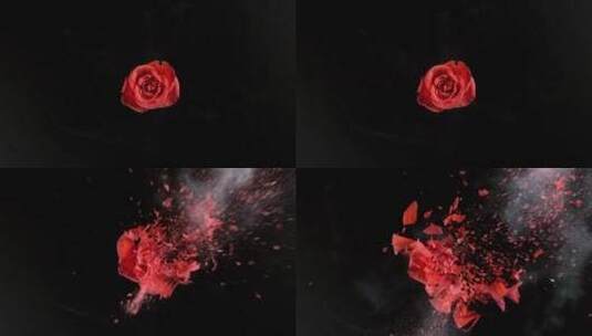 冷冻玫瑰花爆炸高清在线视频素材下载