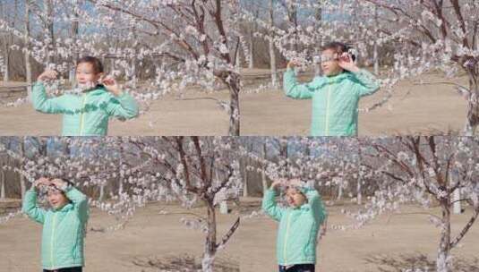 北京初春在盛开桃花的树下照相女孩高清在线视频素材下载