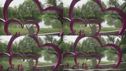 杭州西溪国家湿地公园曲水寻梅高清在线视频素材下载