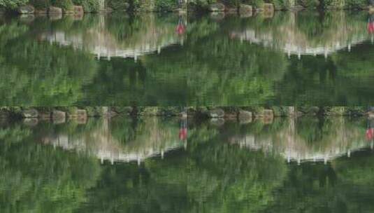 半山国家森林公园湖面小桥阁楼鸭子水面嬉戏高清在线视频素材下载