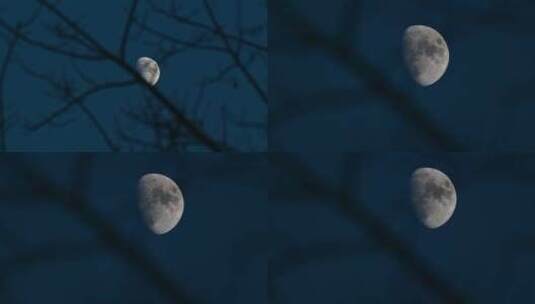 月亮写意镜头高清在线视频素材下载