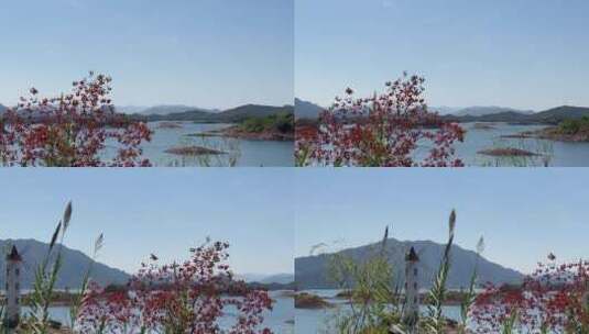 杭州千岛湖山水风景  4k高清在线视频素材下载