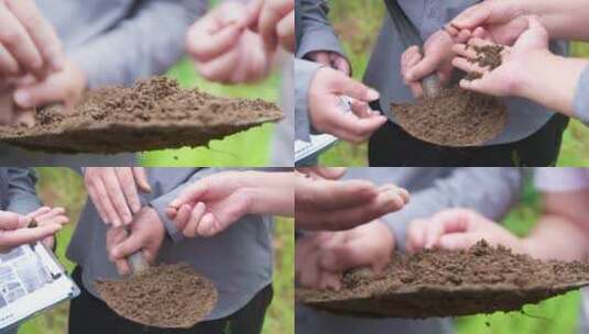 工作人员手捧土样 研究土壤成分高清在线视频素材下载