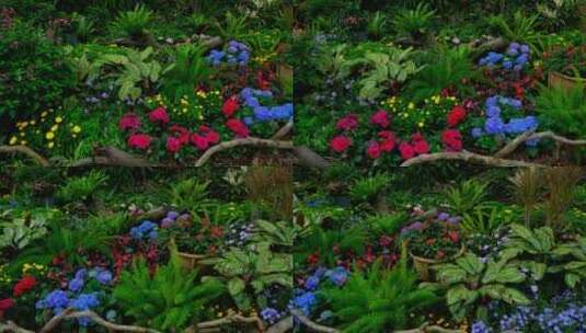 春天公园花坛花园花境春暖花开高清在线视频素材下载