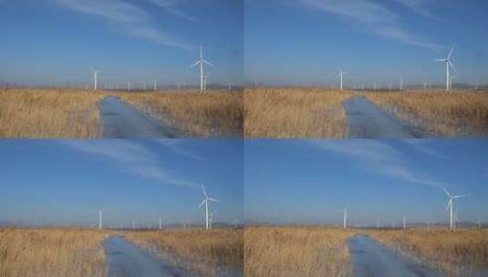秋冬的河边芦苇荡和风车高清在线视频素材下载