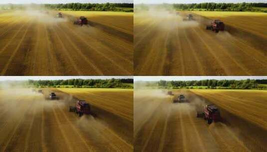 农业秋收 收割麦子高清在线视频素材下载