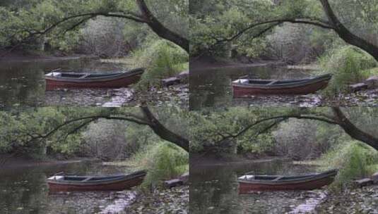 湖畔柳树高清在线视频素材下载