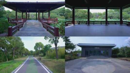 武汉蔡甸汤湖公园生态园林景观4K视频合集高清在线视频素材下载