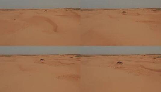 航拍沙漠里的风景高清在线视频素材下载