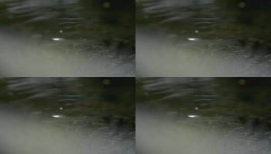鳄鱼的凶恶眼神高清在线视频素材下载
