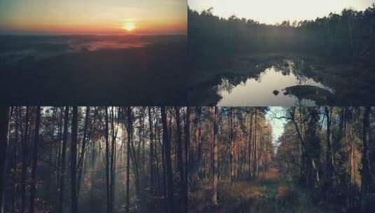 日出雾气森林阳光穿过树林秋季森林湖泊合集高清在线视频素材下载