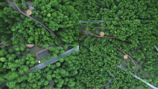 鸟瞰夏天青山湖水上森林4K航拍杭州高清在线视频素材下载