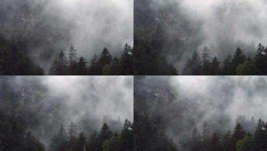 瑞士松树覆盖山谷的雨天高清在线视频素材下载
