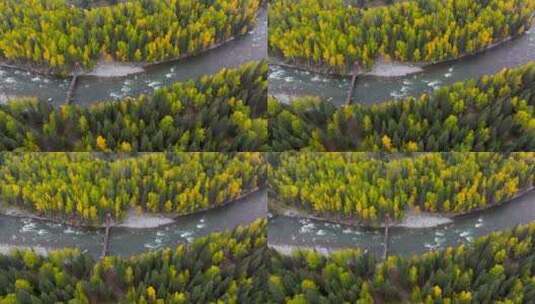 【正版4K素材】航拍新疆禾木河高清在线视频素材下载