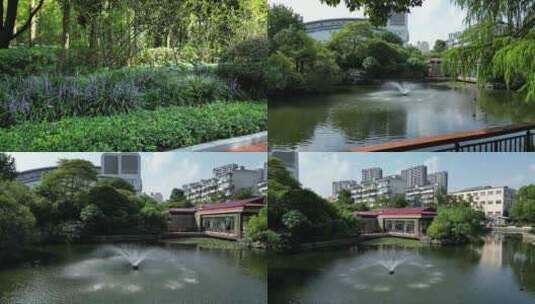 公园花草水池高清在线视频素材下载