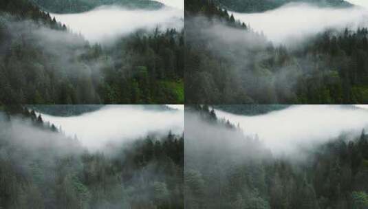 云海 山 雾气 森林 大自然高清在线视频素材下载