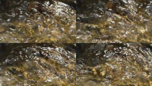 夏天阳光照射泉水小溪流水高清在线视频素材下载