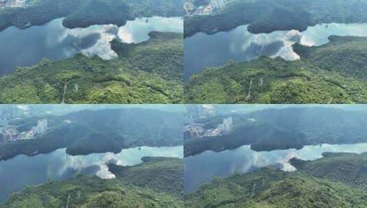 航拍深圳户外塘朗山森林梅林水库自然风景高清在线视频素材下载