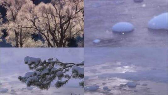美丽的雪树高清在线视频素材下载