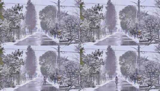 下雪雪景田野树木树枝雪花飘落高清在线视频素材下载