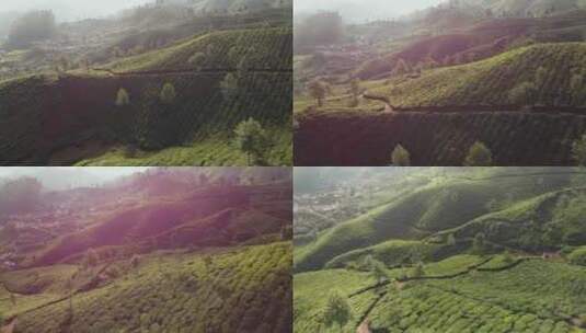 印度蒙纳喀拉拉邦附近无人驾驶茶园的鸟瞰图高清在线视频素材下载