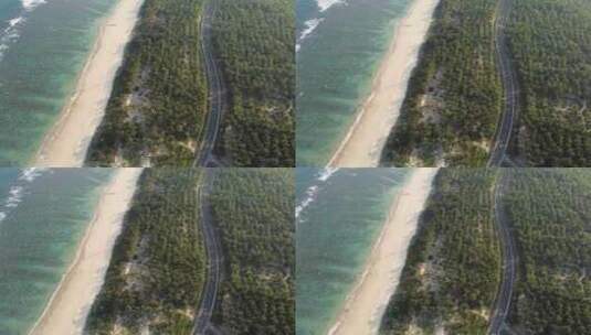 东郊椰林海滩高清在线视频素材下载