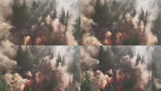 森林草原防灭火演练素材高清在线视频素材下载