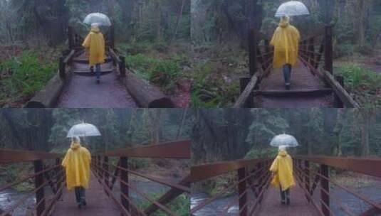 迷雾森林里带透明伞的孤独徒步旅行者高清在线视频素材下载