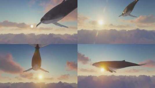 鲸鱼在天空中遨游畅想镜头高清在线视频素材下载