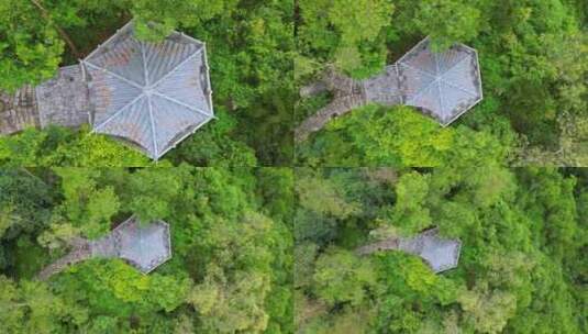 航拍深圳塘朗山公园听涛亭雨后风景高清在线视频素材下载