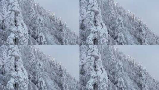 峨眉山雪山雪景高清在线视频素材下载