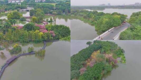 广州海珠湖湿地公园航拍海珠区城市地标高清在线视频素材下载