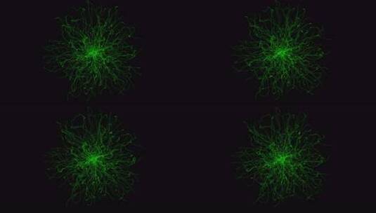 微生物学抽象发光结构与移动触角高清在线视频素材下载