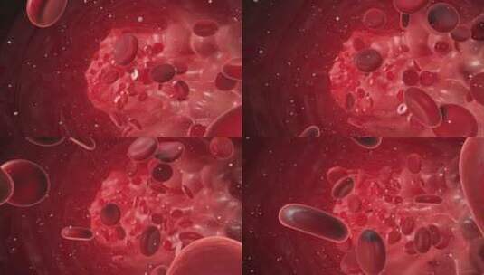 4k 红细胞流动效果高清AE视频素材下载