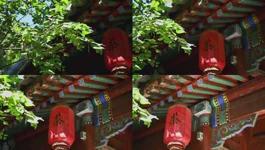 绿叶掩映下的中式建筑与灯笼高清在线视频素材下载