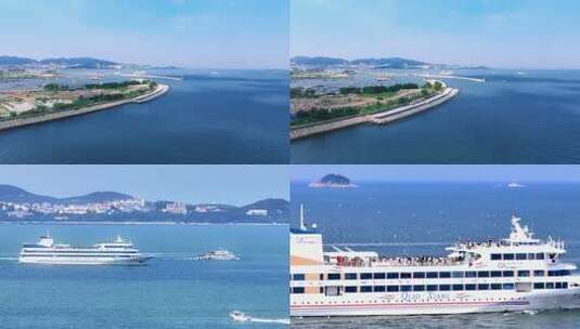 大海游轮海鸥高清在线视频素材下载