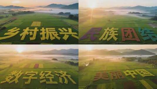 稻田民族团结字样航拍画面高清在线视频素材下载