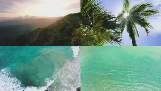 航拍海岛 仰拍椰子树高清在线视频素材下载