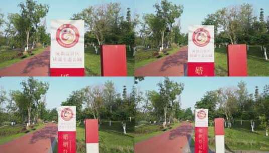 桂溪公园 婚姻登记处 高清在线视频素材下载