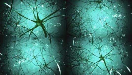 神经元细胞的动画。神经细胞在大脑中的活动高清在线视频素材下载