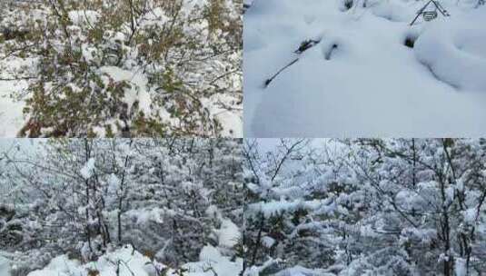 雪景、雪地步行高清在线视频素材下载