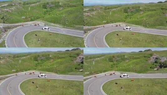 草原房车自驾航拍高清在线视频素材下载
