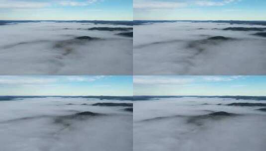 航拍延时  林海云雾高清在线视频素材下载