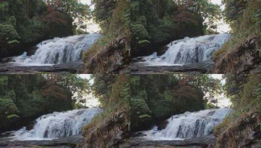森林中流动的河水高清在线视频素材下载